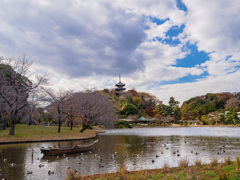 晩秋　三渓園