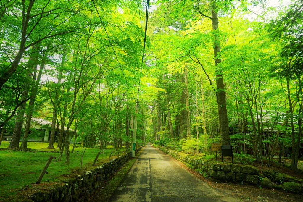 軽井沢散策　３