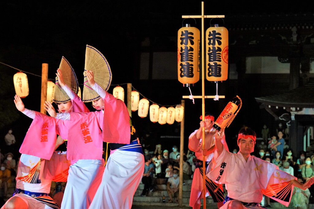 高円寺　阿波踊り　Ⅱ