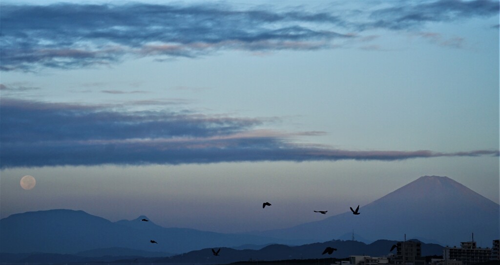 夜明けの富士とお月さま