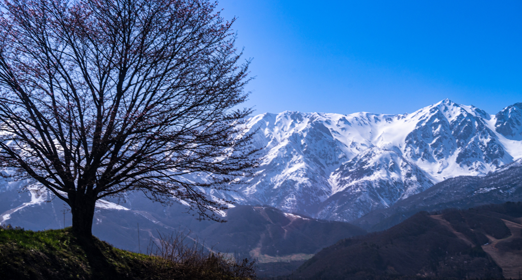 白馬村　野平地区