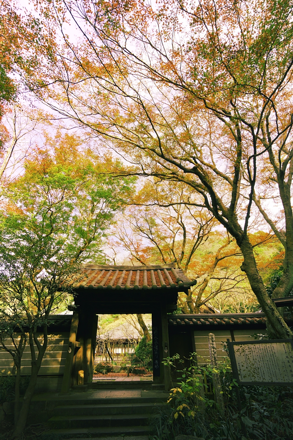 鎌倉　晩秋　１