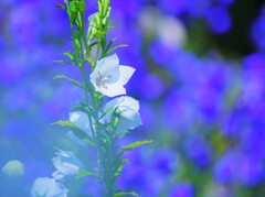 好きな色に囲まれて