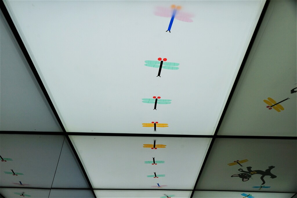 追いかけられて