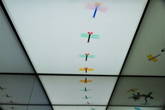 追いかけられて