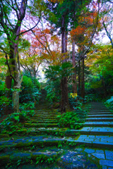 瑞泉寺　分岐点