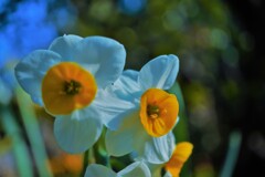 いつでも見ているよ