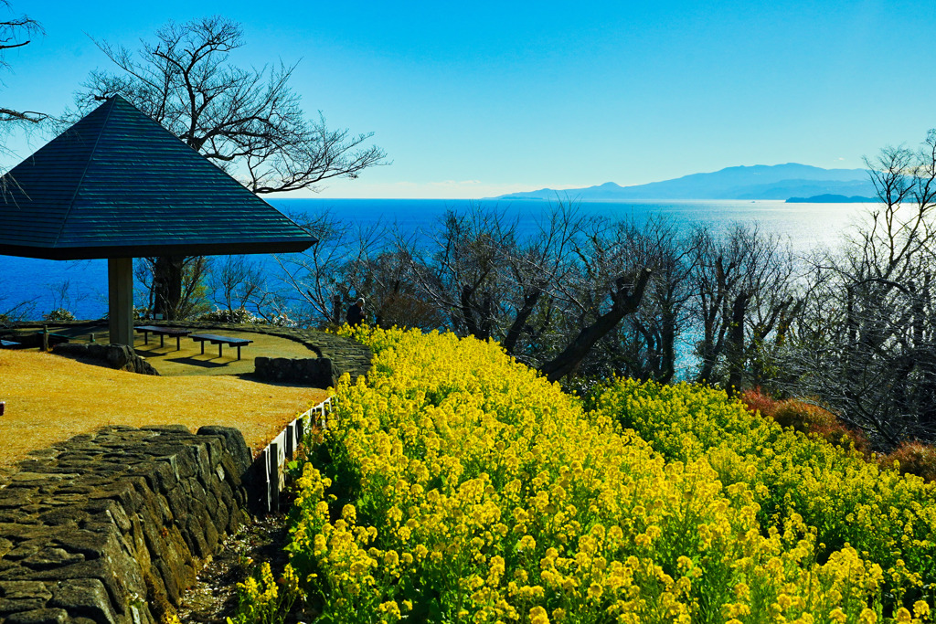 吾妻山公園
