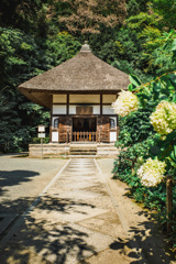 縁