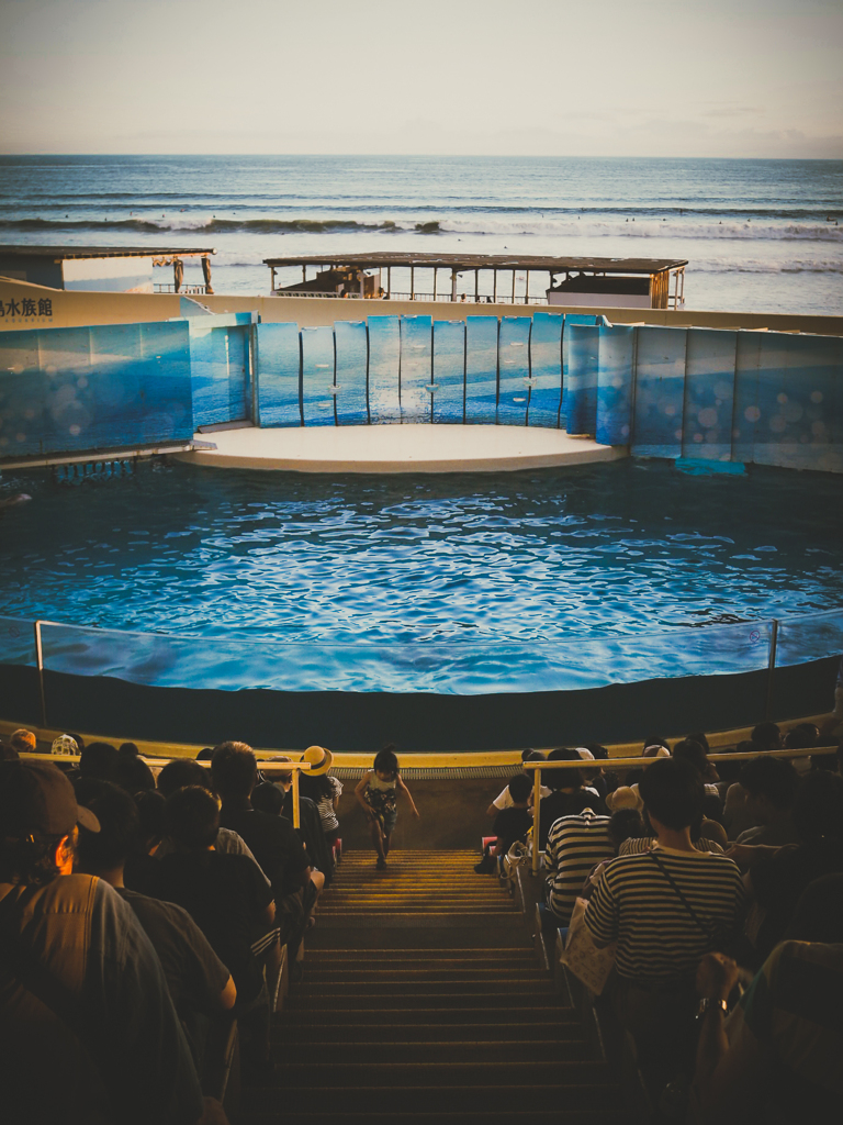 昔から変わらない江ノ島水族館