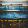 昔から変わらない江ノ島水族館