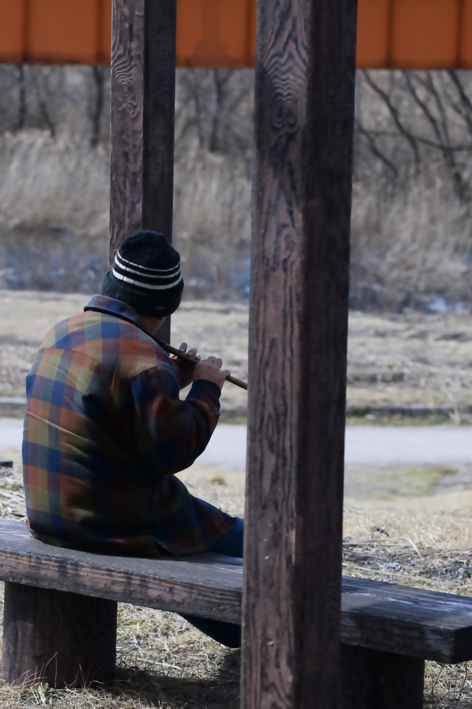 寂しげな演奏者