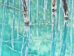 青い池