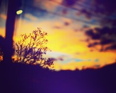 夕方