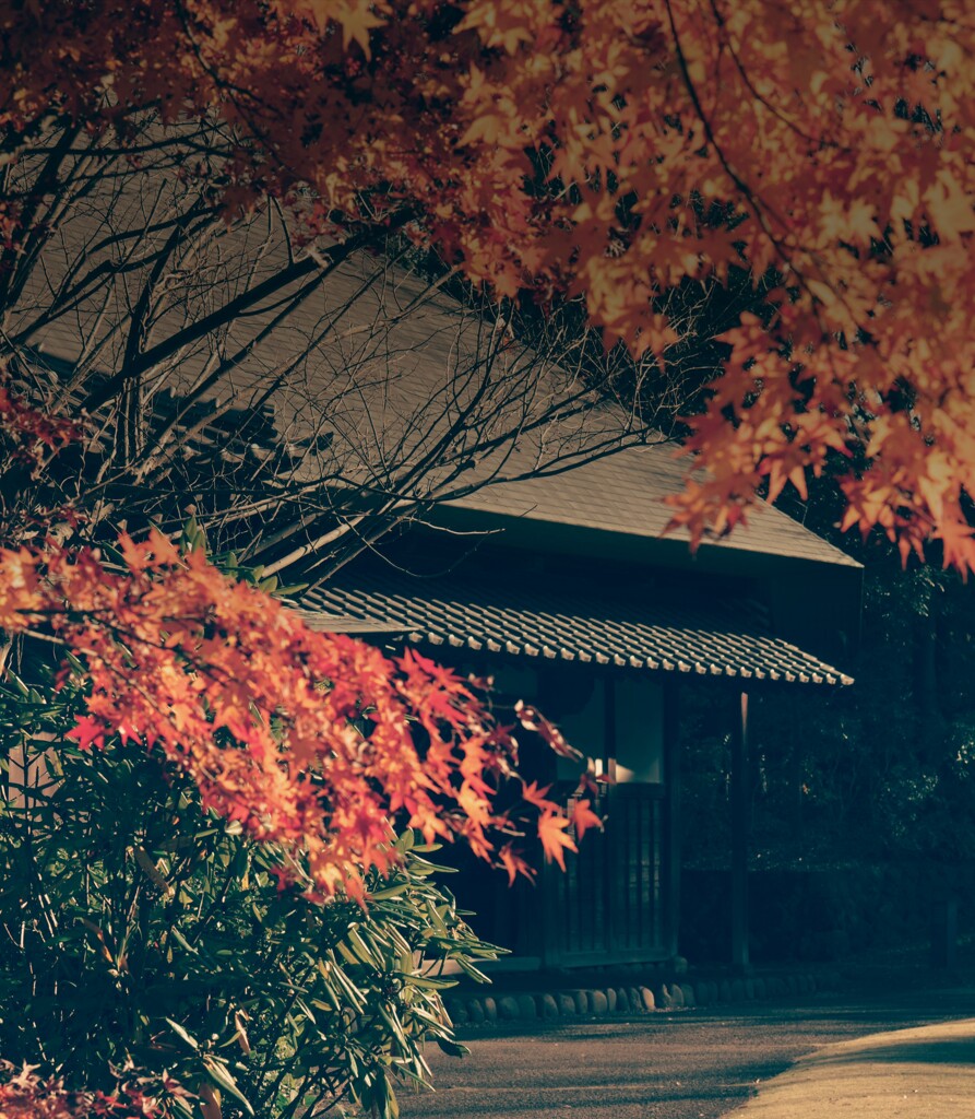 _20191214_010056