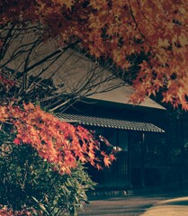 _20191214_010056