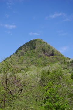 戸神山