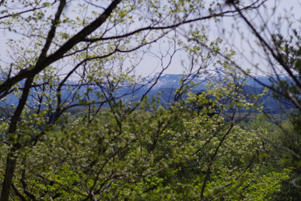 戸神山からの蔵王遠景