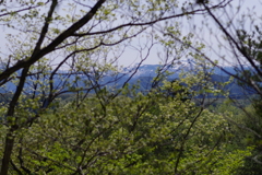 戸神山からの蔵王遠景