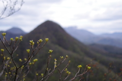 春の山