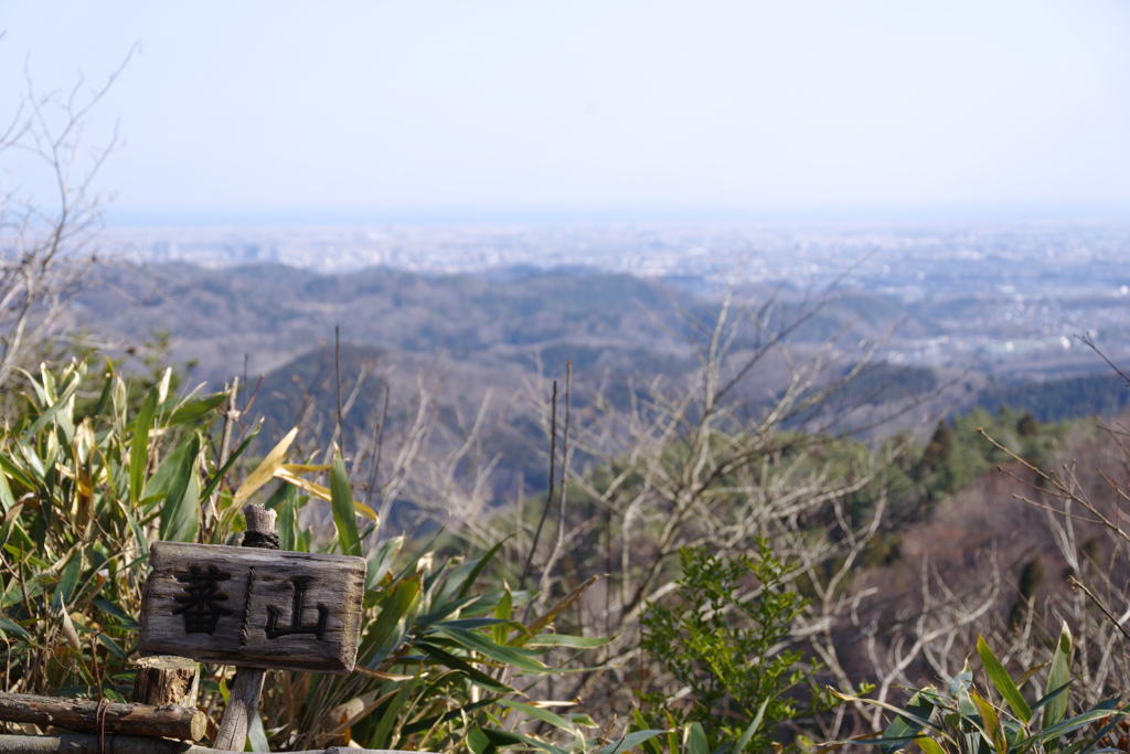 蕃山