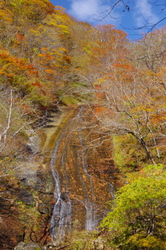 白糸の滝　二口渓谷
