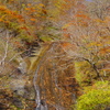白糸の滝　二口渓谷