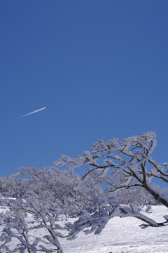 空と飛行機雲