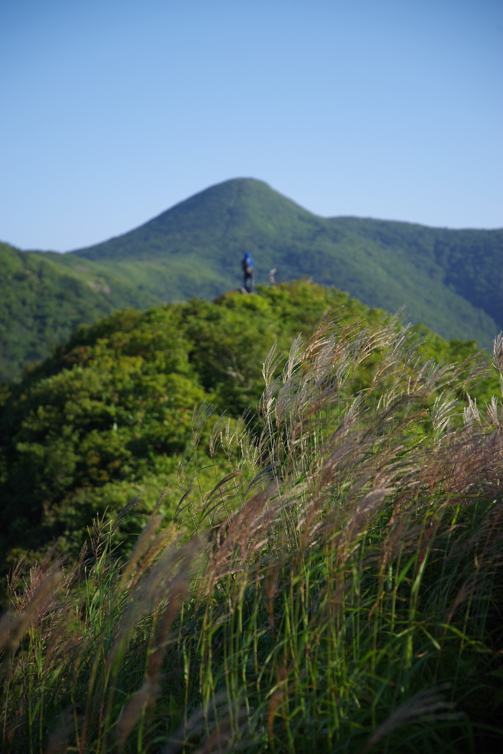 初秋の山