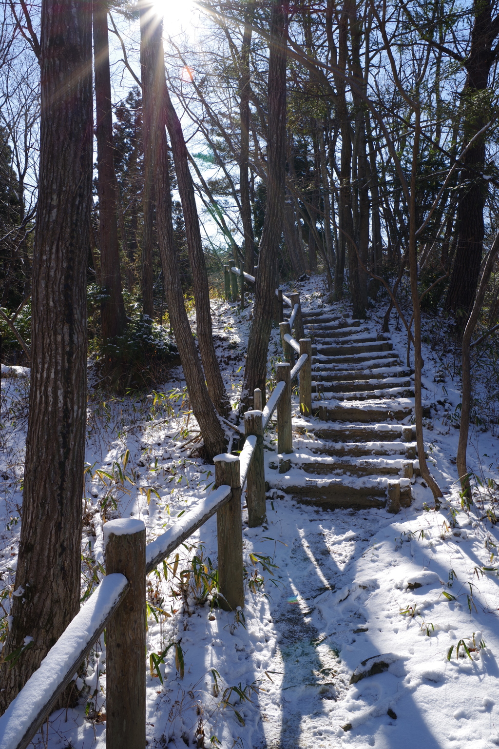 冬の里山