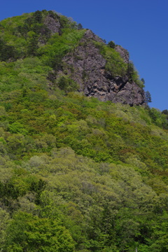 春の鎌倉山