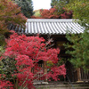 伽耶院1