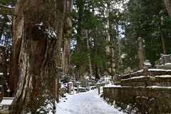 高野山3