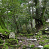 城崎温泉 温泉寺