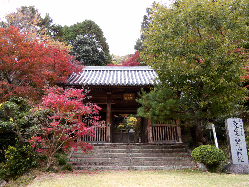 紅葉の伽耶院