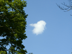 ひよこ雲？
