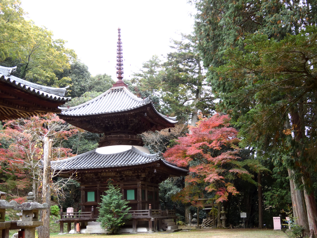 紅葉の伽耶院