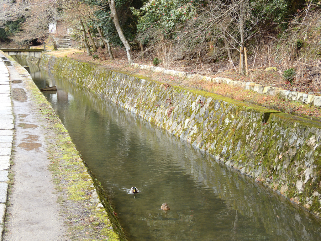 銀閣寺～哲学の道　3/3