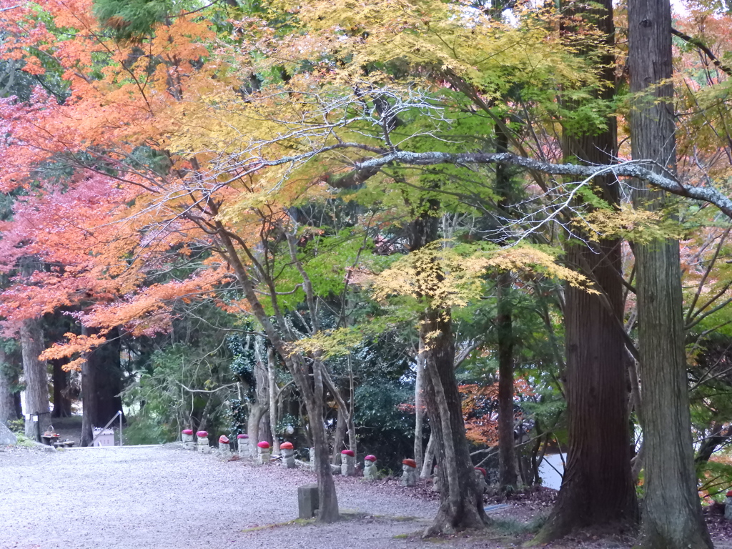 紅葉の伽耶院