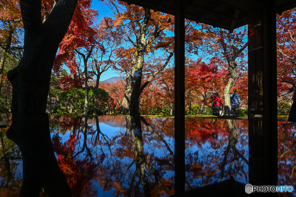 茶室からの紅葉