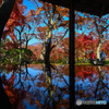 茶室からの紅葉