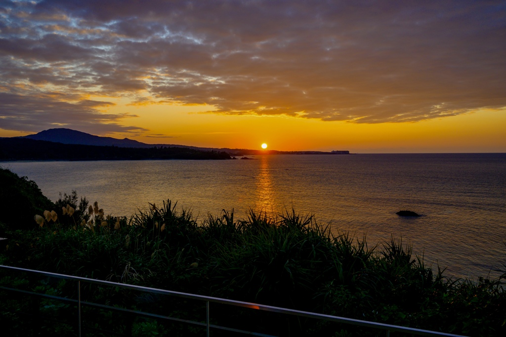 95ACE430-5B96-4247-8680-750E13EC366E