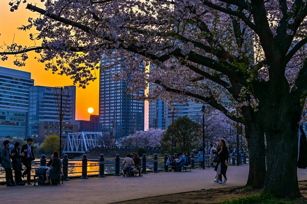 B3A97F12-A0D1-4992-87B0-C63F5683B8CF