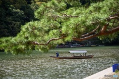 31EC8314-F67D-4357-ACDC-5308DC404249