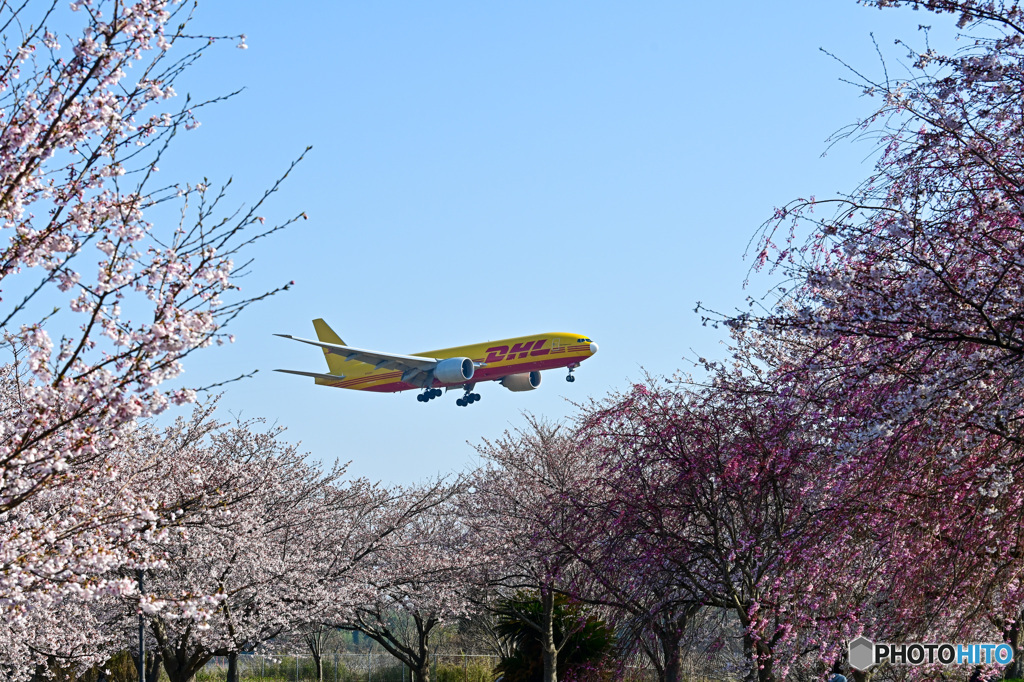 桜16Rへのランディング9