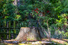 1E98B4C3-3B73-44DD-8DA4-17D33AF7CFC4