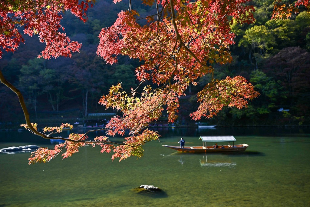 6CEFA202-3ACD-4E09-81E6-6180ABE3F482