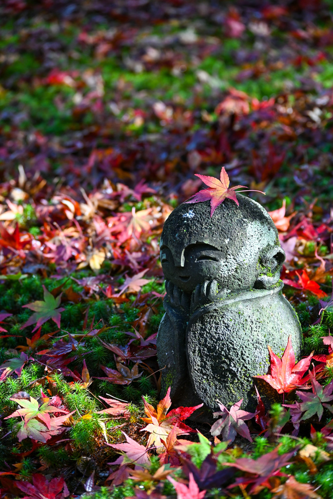 A025C35A-2762-4DAF-93F3-B97B700B4DD3