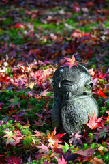 A025C35A-2762-4DAF-93F3-B97B700B4DD3