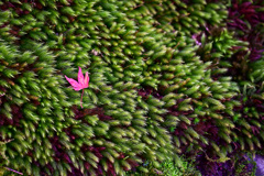 B921FD89-D90A-4125-9C92-CDD8A00E3D66